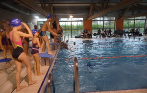 NATATION