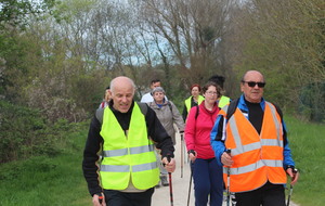 SORTIE MARCHE NORDIQUE FSGT - BORDS DE L'YERRES