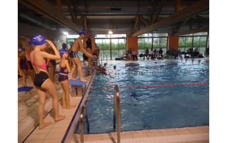 NATATION