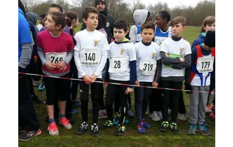 Championnat régional Ile de France FSGT de CROSS-COUNTRY 2017