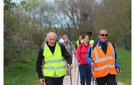 SORTIE MARCHE NORDIQUE FSGT - BORDS DE L'YERRES