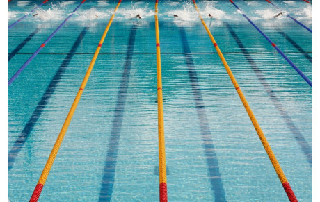 Natation